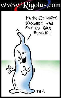 CAPOTE